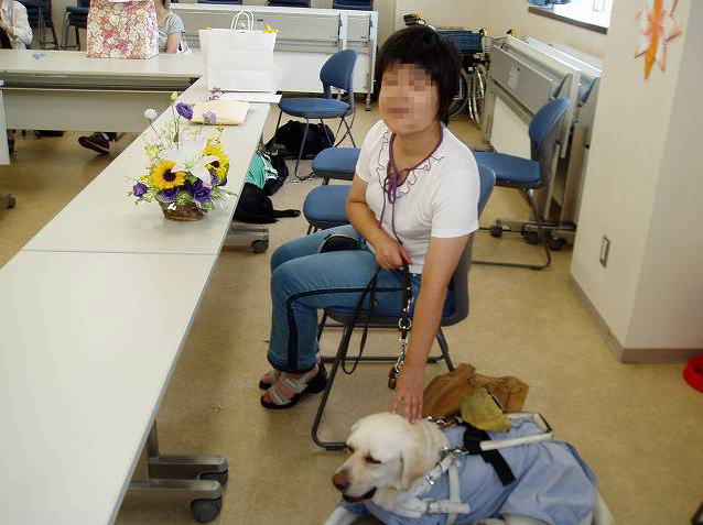 ワイズがあきの横で伏せている写真